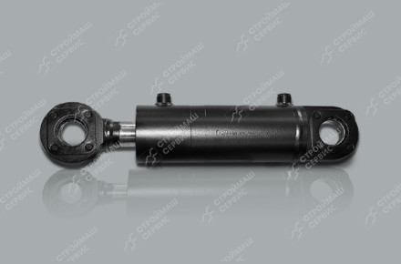 ЦГ-70.50х1160.22-01 Гидроцилиндр Елаз Tarsus